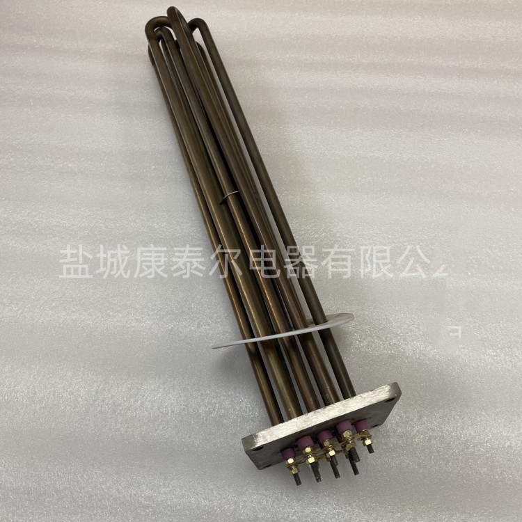 方型法蘭插入式電加熱管